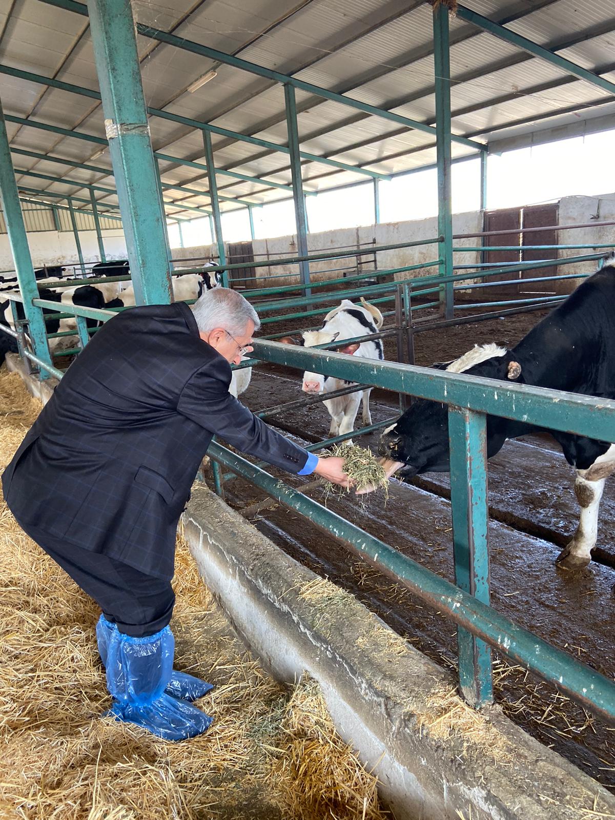 Rektör Can, Ziraat Fakültesi Uygulama ve Araştırma Çiftliğinde İncelemelerde Bulundu